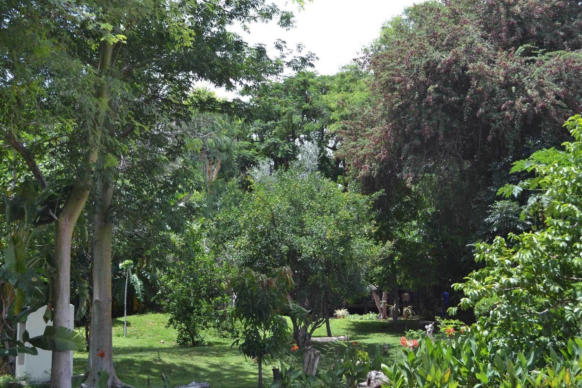 Tambuti Lodge Rundu Eksteriør bilde